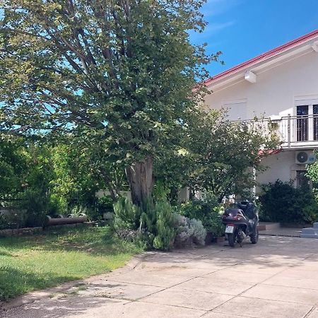 Apartmani Tinka Starigrad Paklenica Exterior photo