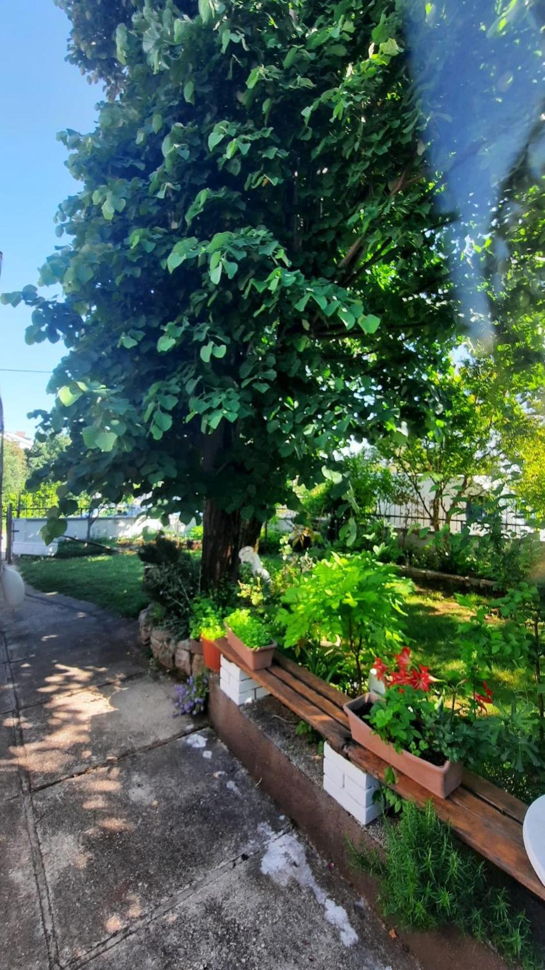 Apartmani Tinka Starigrad Paklenica Exterior photo
